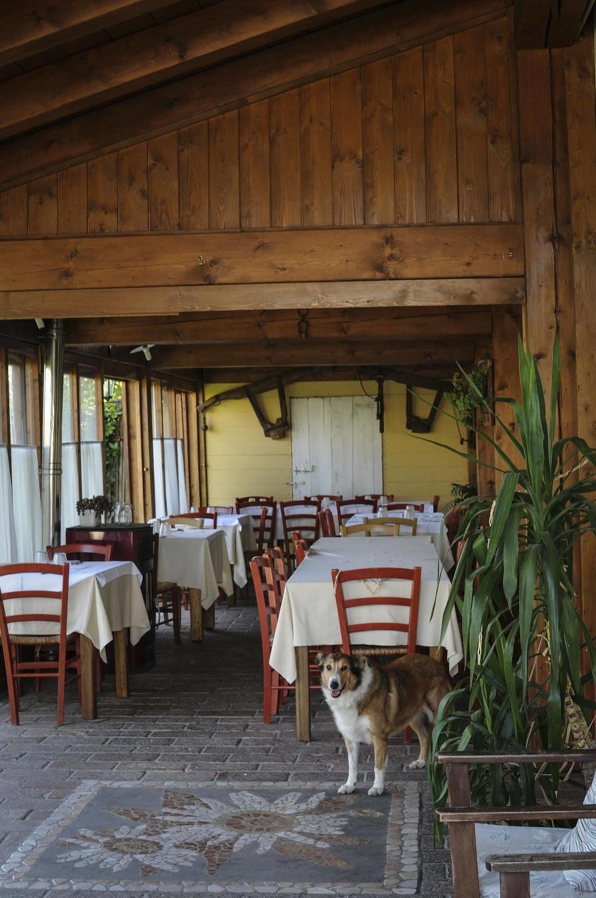 Locanda Merlaschio Faenza Bagian luar foto